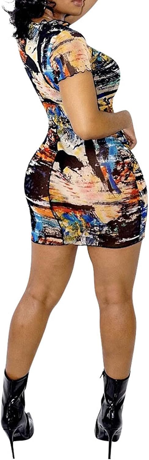 Printed Mesh Bodycon