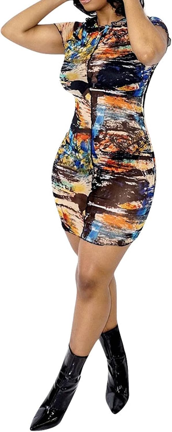 Printed Mesh Bodycon