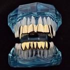 Open Face 14K Gold-Plated Fang Grillz