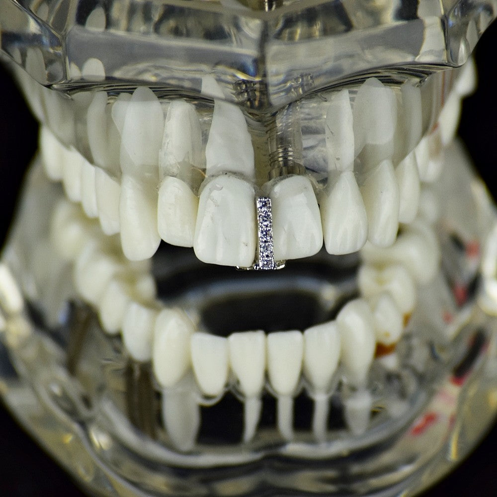 Fangs CZ Bottom Grillz